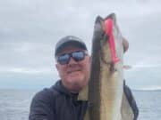 Pollack, wrasse and bass for Cork Harbour small boat anglers A Black Eel did some damage for me after my paddletails were being nipped off at the tail!