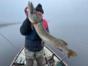 A great start to the winter pike fishing for Belgium Trio