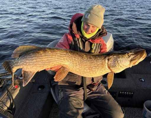 Irish angling Update 🎣 29 November 2024 Derg pike paul sunlit
