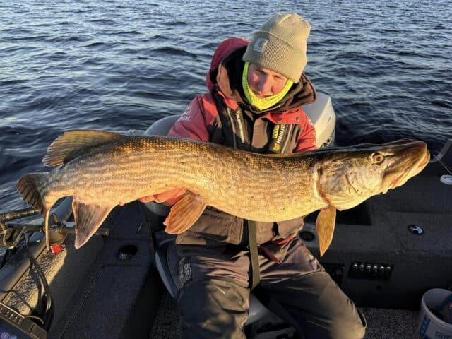 Derg pike paul sunlit