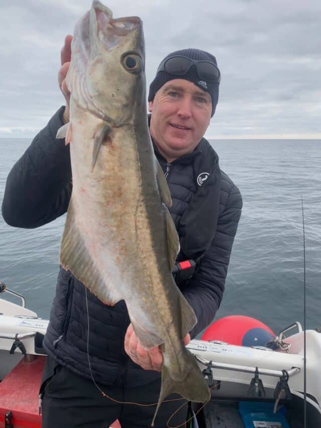 Emmett with a decent pollack. At this time of year the fish are really in perfect condition.