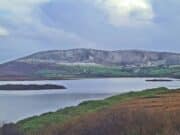 Irish Angling Update π£ 22 November 2024