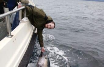 West Cork tuna fishing going well as season’s end draws near