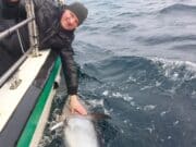 Some more tuna for Killybegs Fishing Trips