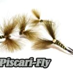 flies