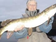 Good pike at Lough Allua but better to come as temps fall Sigi pike, Lough Allua