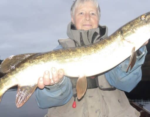 Good pike at Lough Allua but better to come as temps fall Sigi pike, Lough Allua