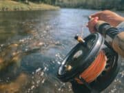 Blackwater salmon, courses at Careysville, Christmas vouchers and more from Glenda Powell