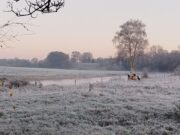 Irish Angling Update 27 December 2024