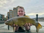 Dan O’Neill – The River Whispers 14