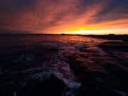 Irish Angling Update π£ 13 December 2024