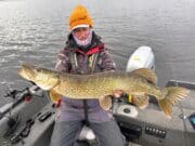 Cold conditions continue to make for good pike fishing
