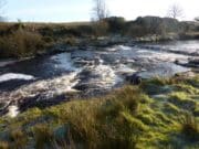 IFI opens first draw for River Easkey salmon tags for 2025 – Brown tag conservation regulations in effect on Co. Sligo river