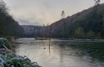 Irish Angling Update 🎣 17 January 2025 Frozen Oaklands