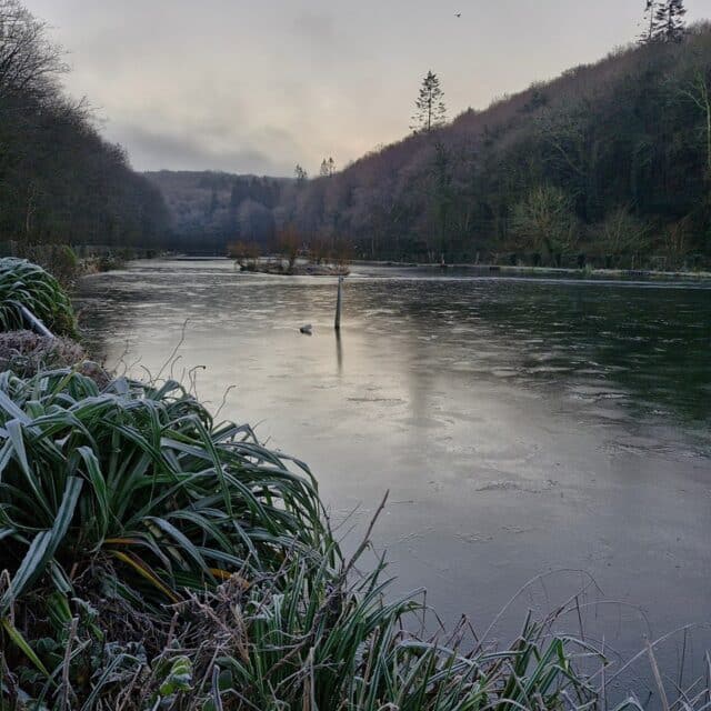 Frozen Oaklands