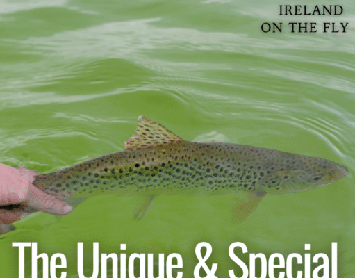 Ireland on the Fly – Latest episode: The unique and special Lough Carra