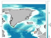 Ireland on the Fly – latest podcast: From Greenland to the Erriff – the story of one salmon’s 2,500km journey