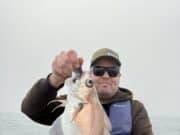 Small boat anglers close 2024 with a mix of species on lure from Cork Harbour We had some cracking pout today and lots of them. Pollack were scarce on some reefs. Maybe the pout were able to get to the lures.