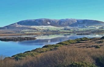 Irish Angling Update 🎣 10 January 2025