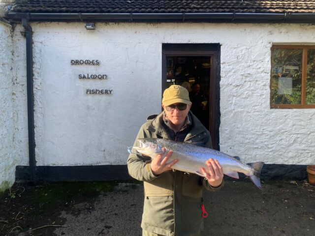 salmon