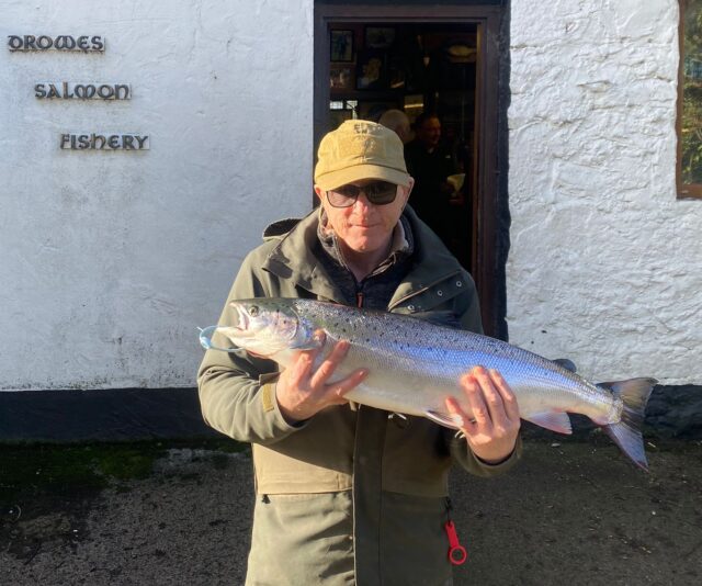 salmon