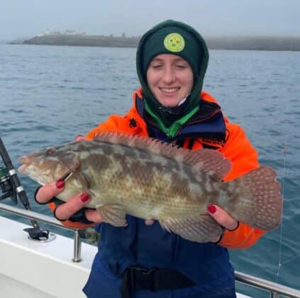 wrasse