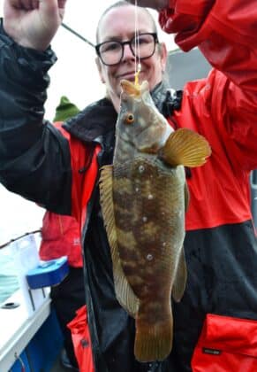 wrasse2