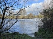 Pike, coarse fish and where to find them, plus more in the latest River Whispers blog