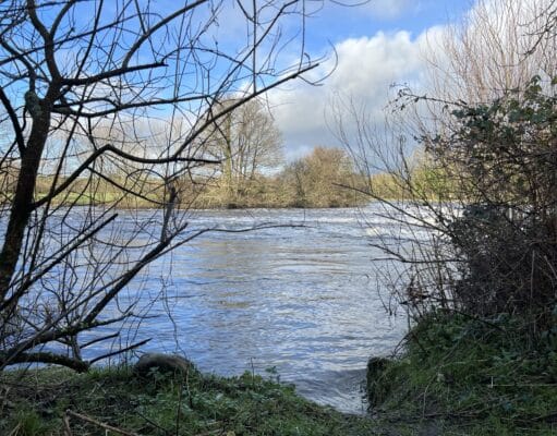 Lakelands coarse fishing round up