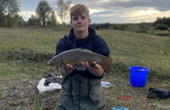 tench