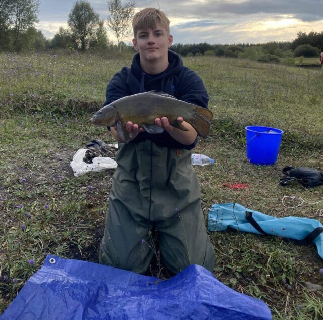 tench