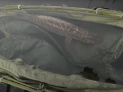 Fishing with Steve – Episode 41 – Back to Monaghan!