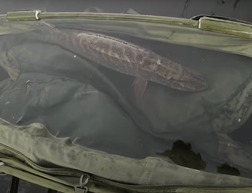 Fishing with Steve – Episode 41 – Back to Monaghan!