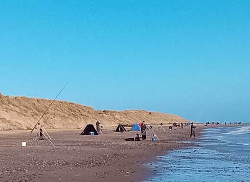 36th Irish Winter Shore Angling Festival