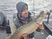 Pike to 103cm for anglers with Anglers Paradise Guiding pike