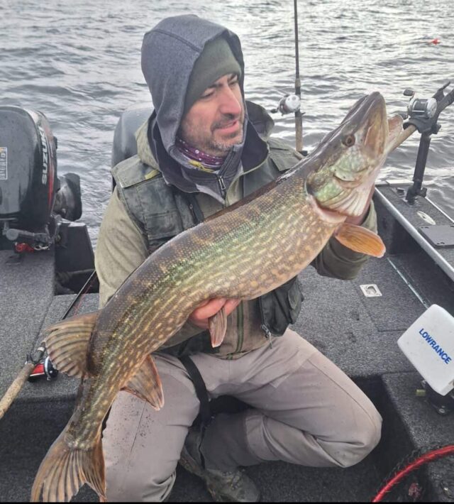 pike