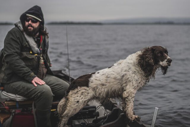 corrib dog