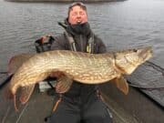 111cm pike senan