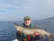 ‘Bait Butting’ pike prove to be tricky customers for Fish Tales