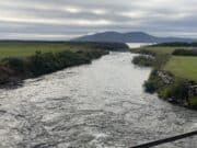 Ireland on the Fly – Salmon Watch Ireland & their plans against salmon farming in Ireland in 2025