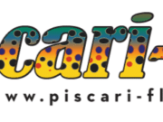 Nore news and competition scene update from Piscari-Fly