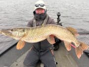 Pike to 115cm for Senan Stanley