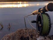 Irish Angling Update π£ 21 March 2025