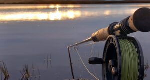 Irish Angling Update 🎣 21 March 2025