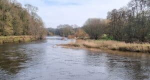First salmon of the season for Blackwater Trout and Salmon Fishery the Ballygarret Beat