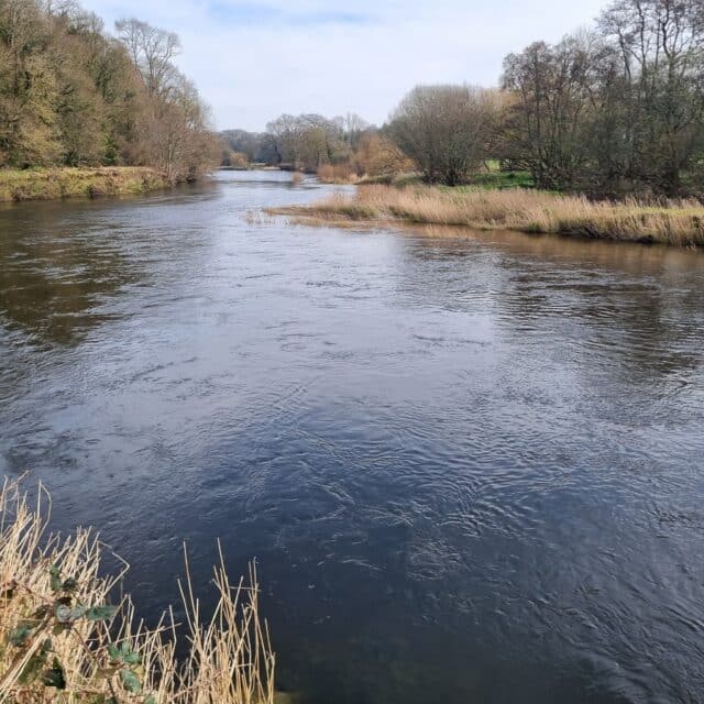 the Ballygarret Beat