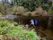 Piscari-Fly Newsletter: Nore, Avonmore & Midlands Reports