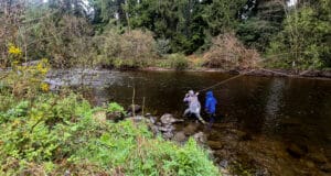 Piscari-Fly Newsletter: Nore, Avonmore & Midlands Reports