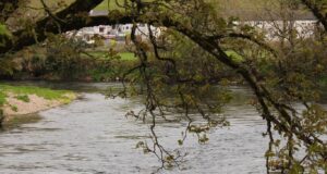 Another springer for Blackwater Trout and Salmon Fishery
