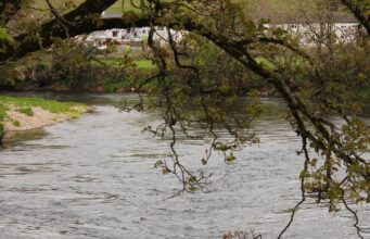 Another quiet week on the Munster Blackwater